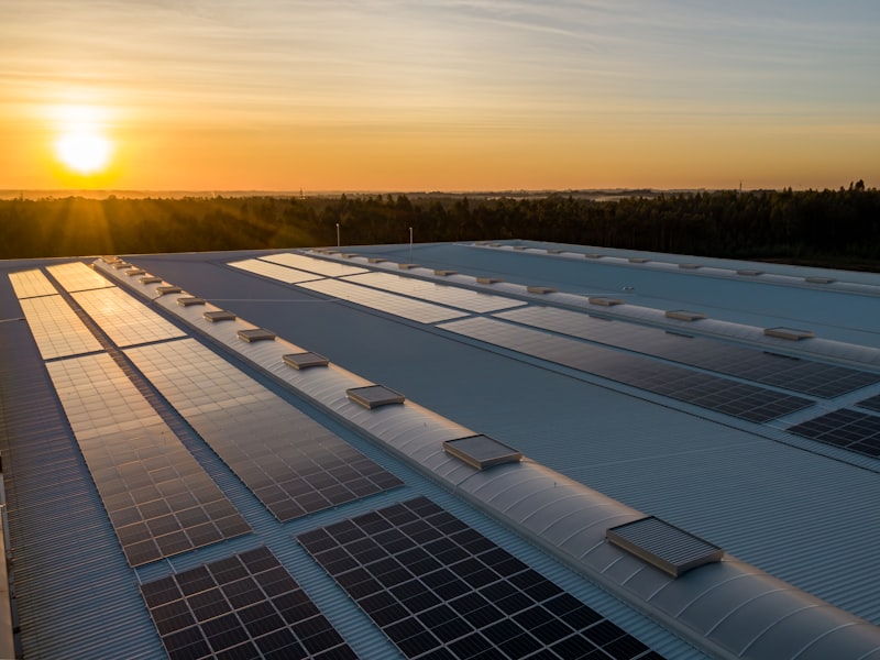 Black solar panels covering the south-facing roof of a single-story suburban home